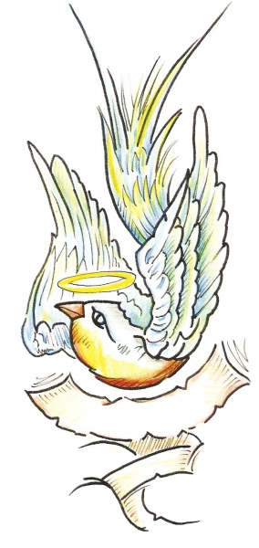 Card image cap